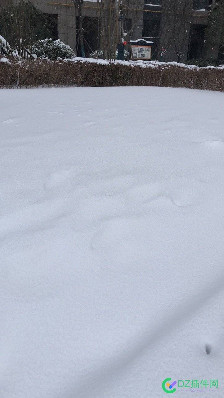 今年下的雪真大 今年,年下,920792089209