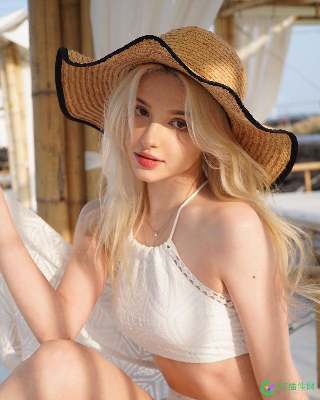 PDD道歉，今后会更加注重版权问题 道歉,今后,更加,注重,版权