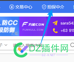 这个担保中介是什么 这个,担保,中介,是什么,什么