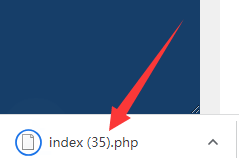 登陆后台点击站点首页无法跳转出现自动下载index.php文件