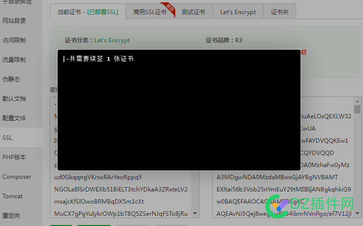 宝塔SSL证书不能续签。大神指点指点 宝塔,证书,不能,续签,大神