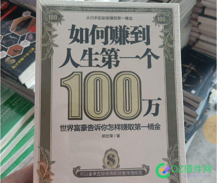 你的人生中第一个 100w 是怎么赚到的? 点微,it618,西瓜,可可