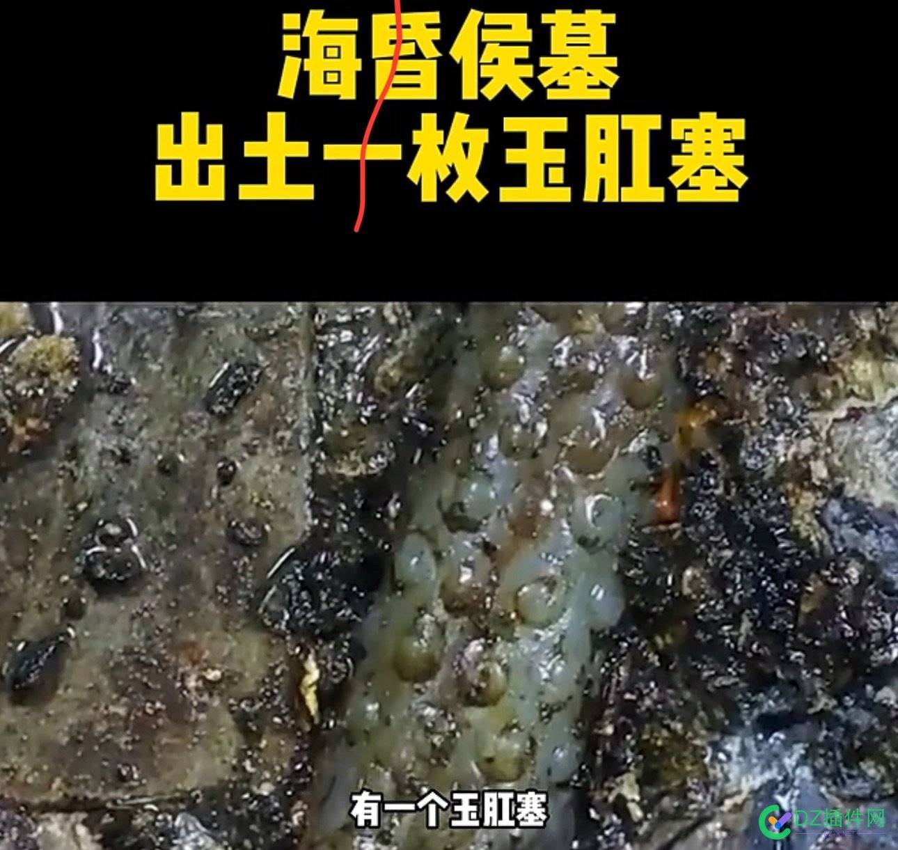 别小看人家一个小玩意儿，你家几套房，都换不来 可可,点微,it618,西瓜