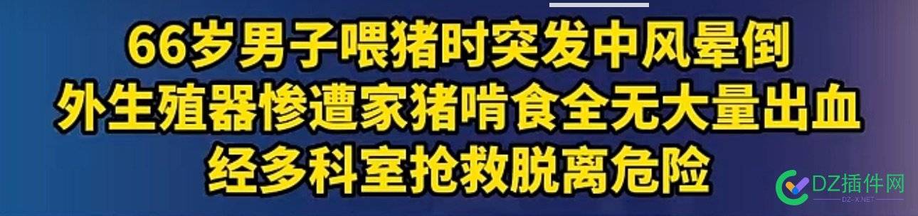 返乡搞养殖的站长需要注意安全 可可,it618,点微,西瓜