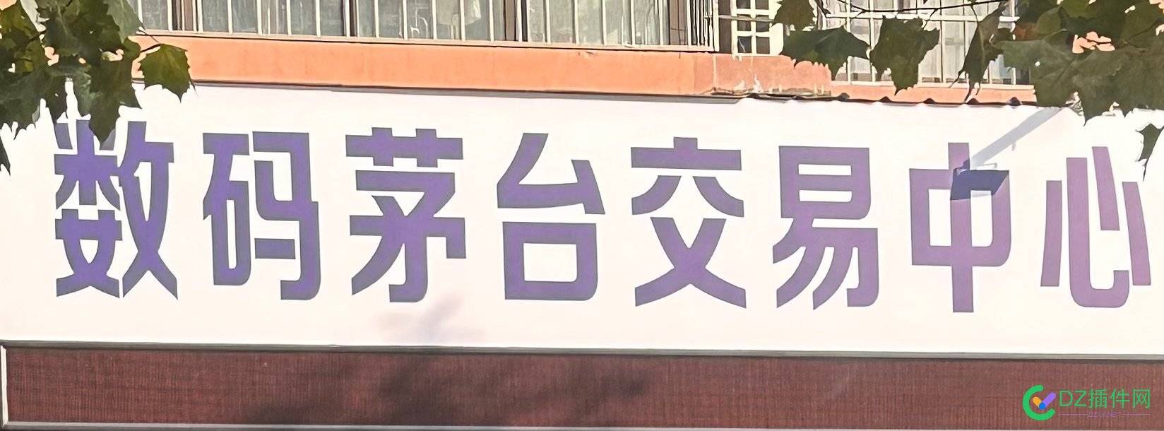 其实任何商品都能数字化交易，就看你们怎么去做了 西瓜,it618,点微,可可