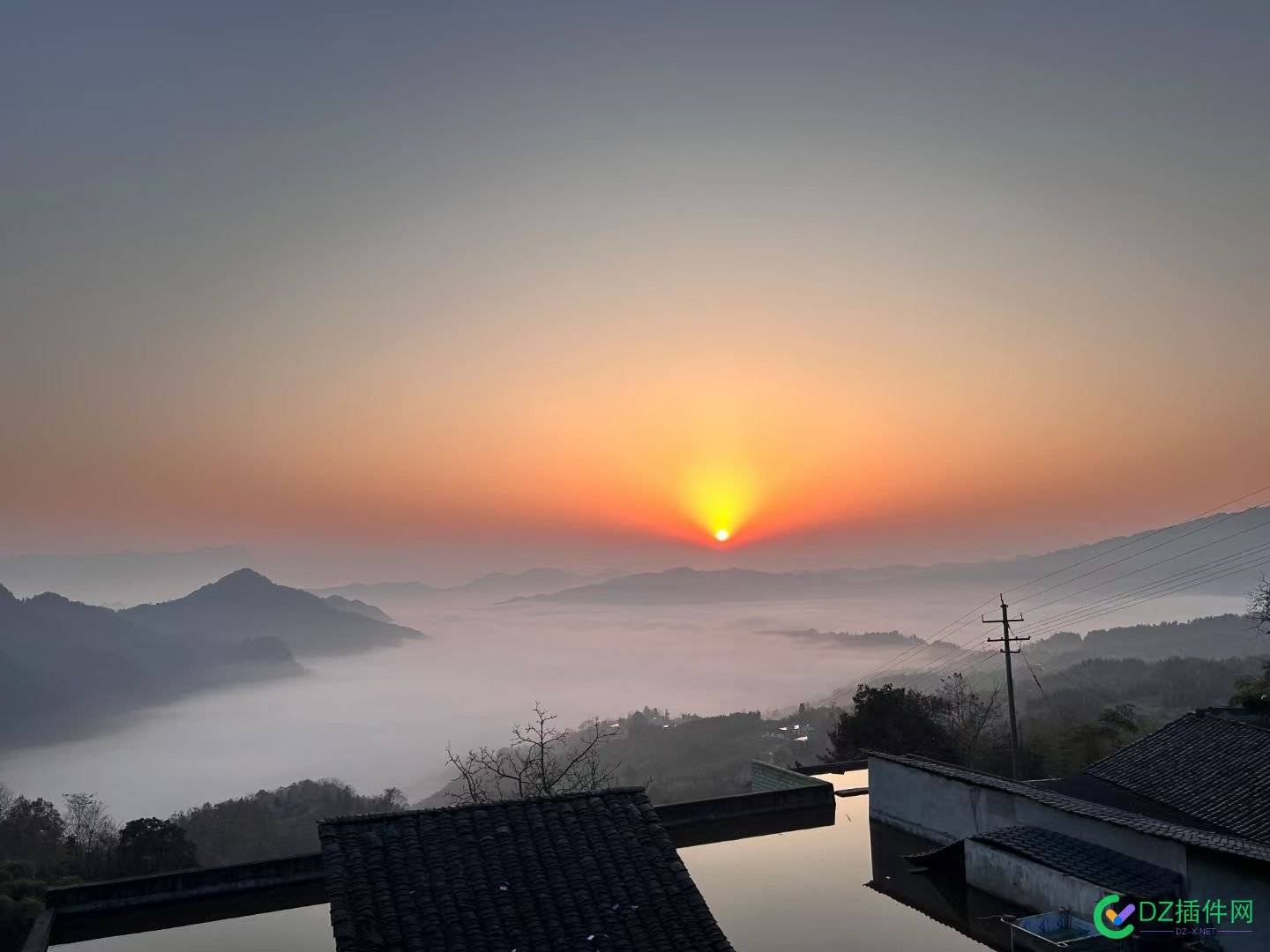 岁年伊始，拍张窗外余晖，统计鸟祝大家新年快乐！！！ 