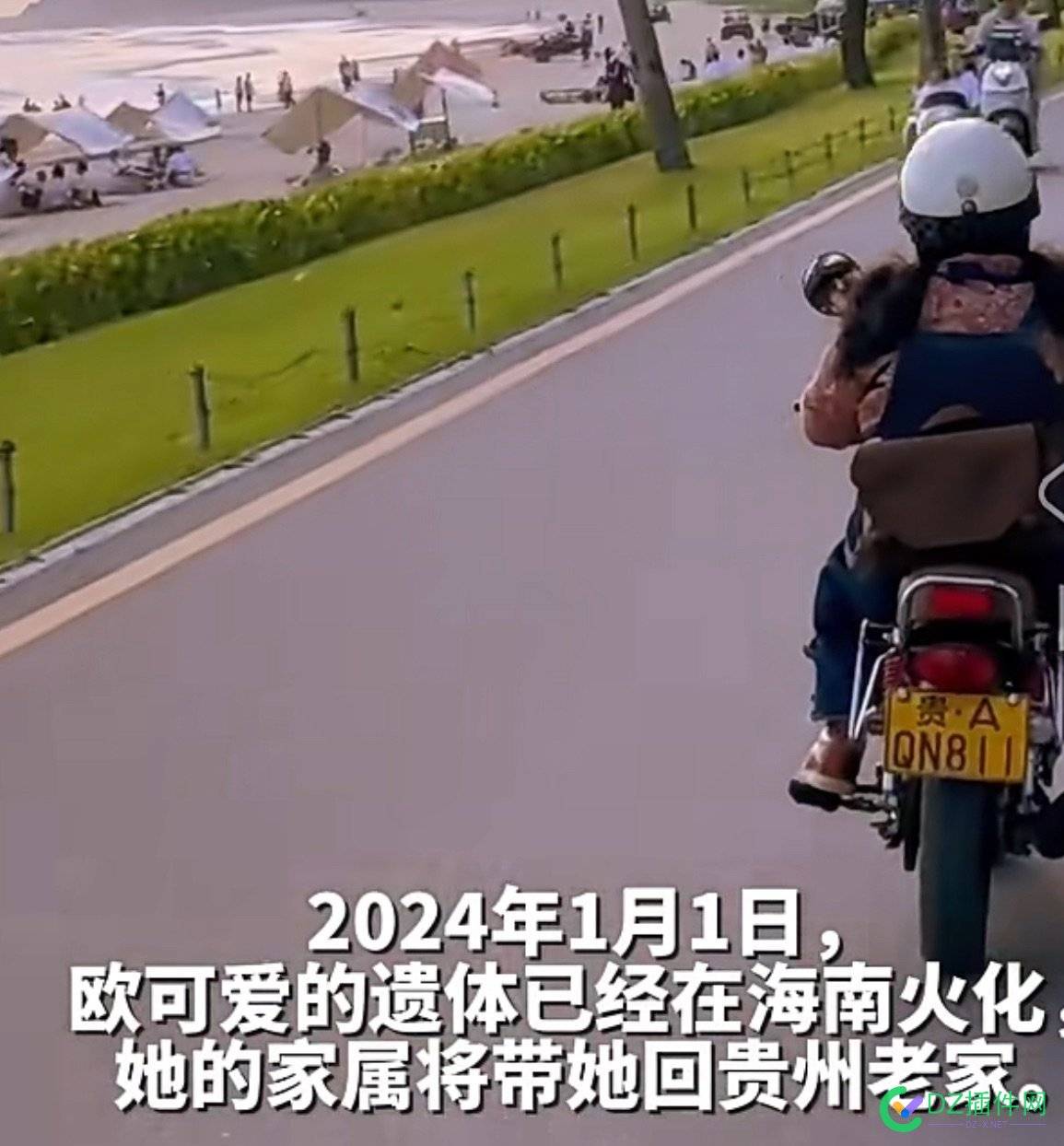 前几天还刷到小可爱的视频了，今天刷到却是最后的消息…… 最可爱的视频
