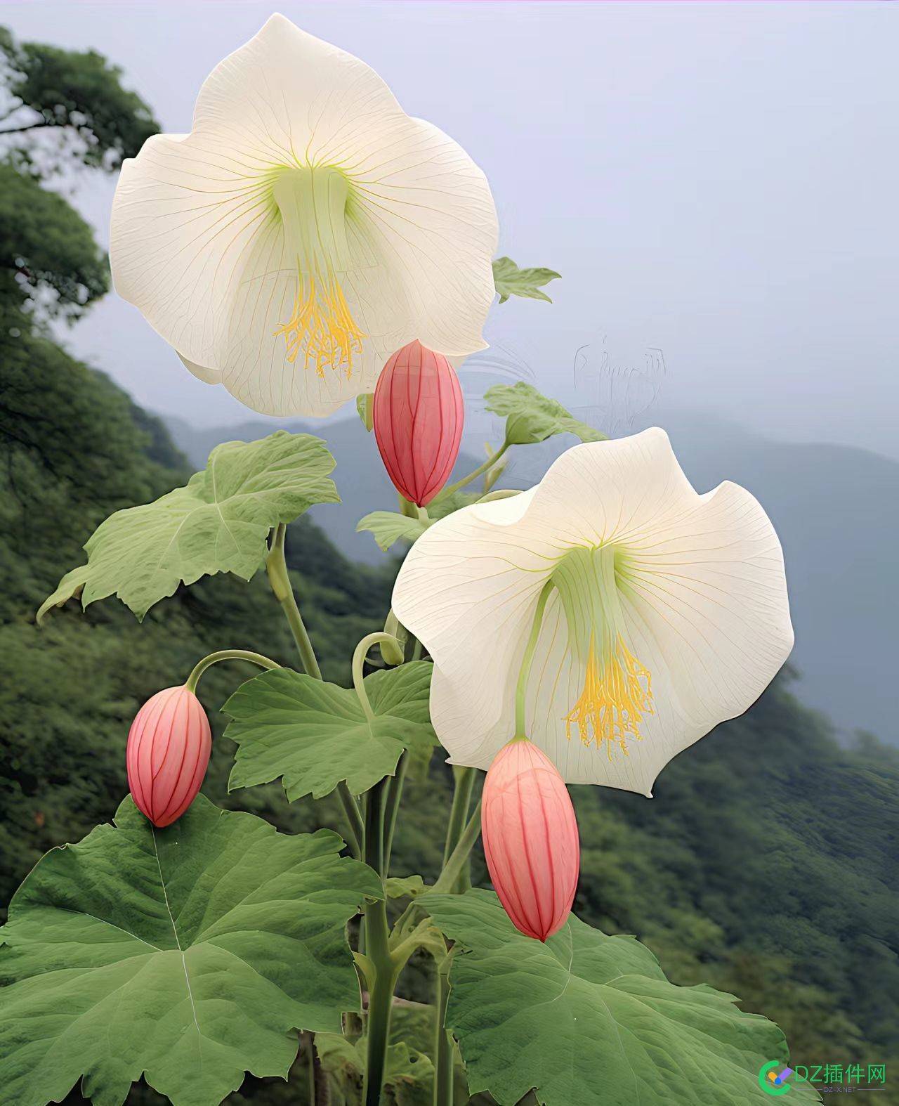 这是什么花 58600