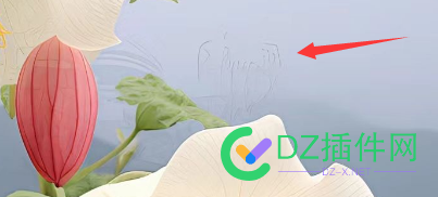 这是什么花 58600
