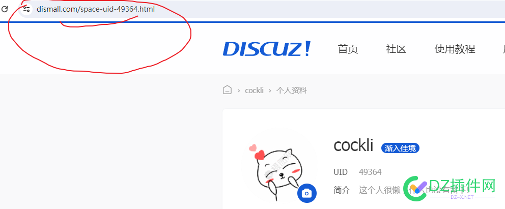 网页端伪静态如何设置用户UID显示
New 可可,西瓜,it618,点微