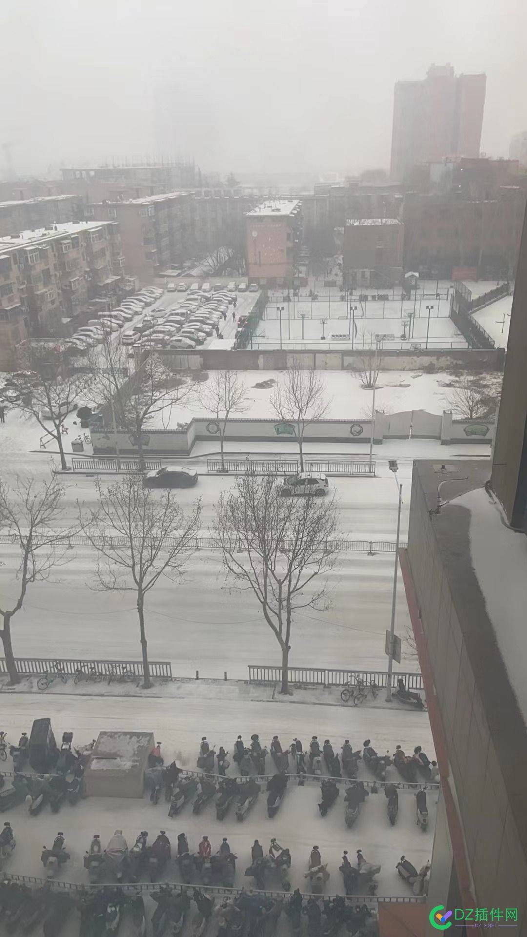今天下的不是雪，是冻雨！！ 冻雨,59274