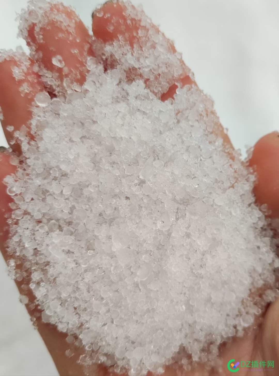 今天下的不是雪，是冻雨！！ 冻雨,59274