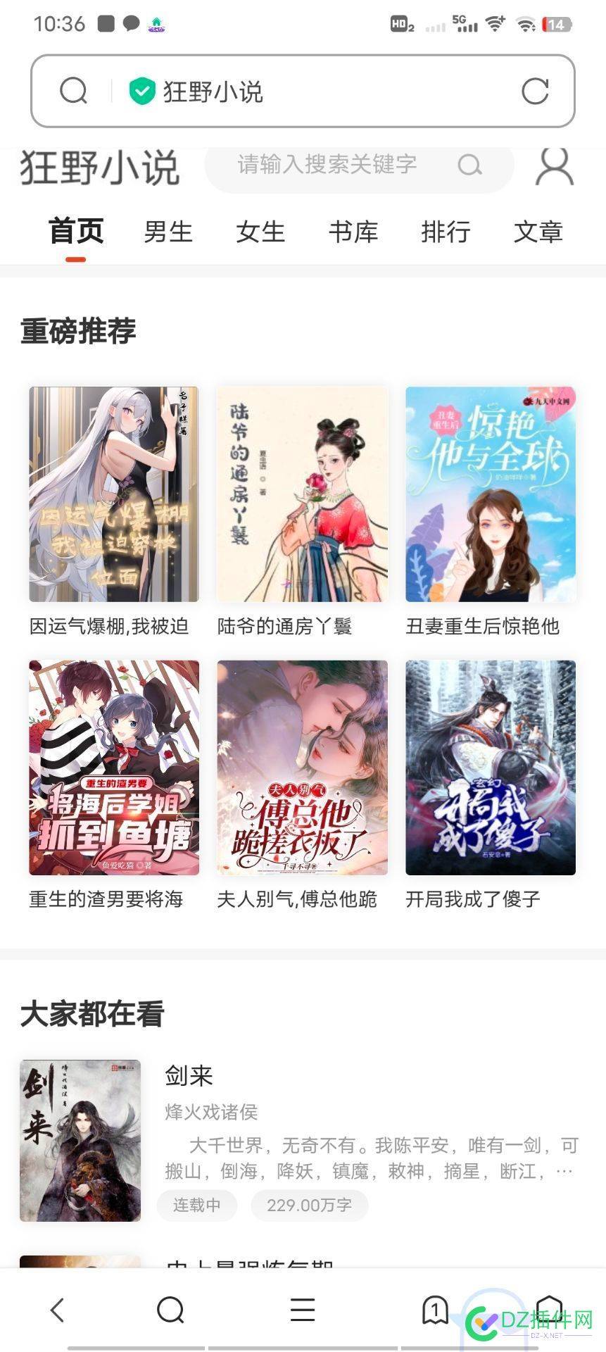 小说网站源码带管理后台手机端和采集 小说网站源码