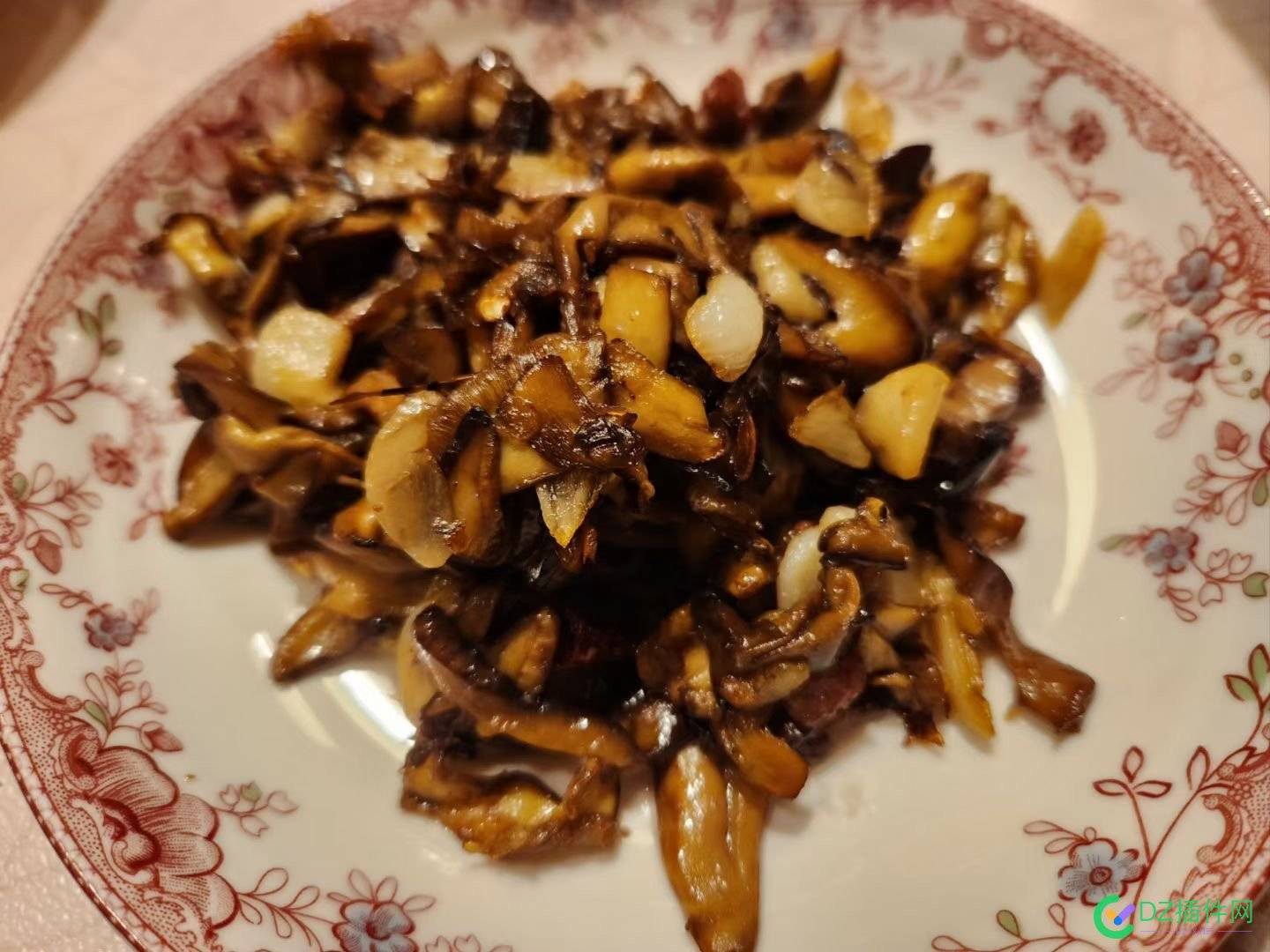 农村躺平，打算搞个抖音，直播养鸡拾菌！ 抖音养鸡视频,养鸡网红直播,养鸡现场直播,养鸡主播