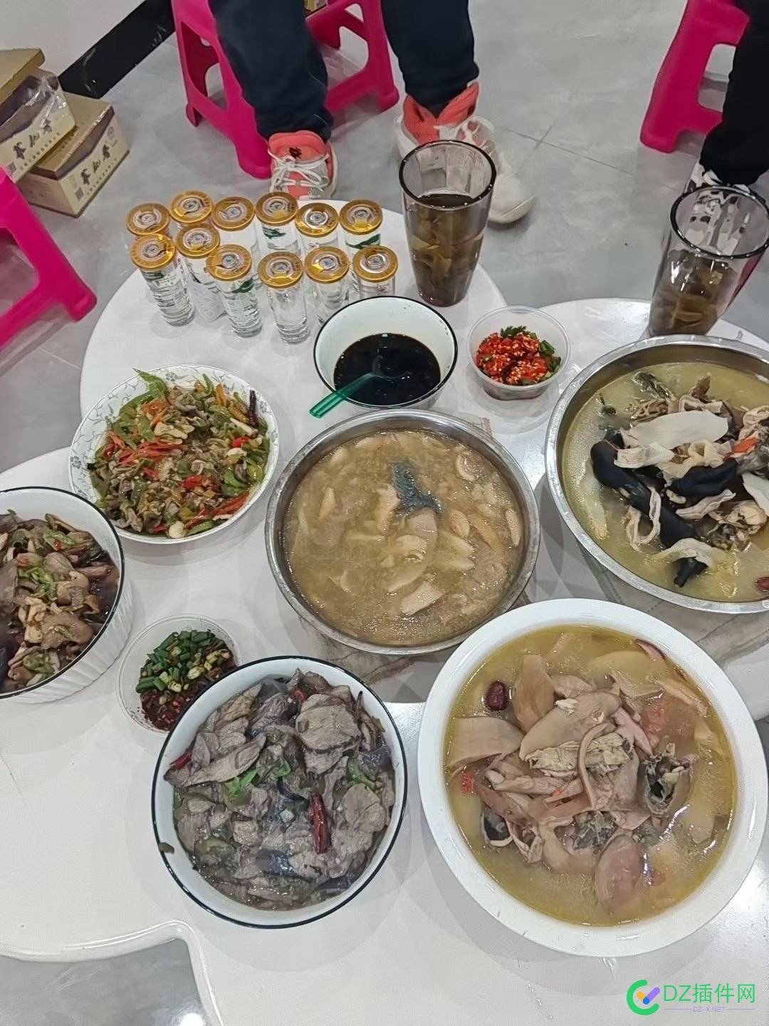 农村躺平，打算搞个抖音，直播养鸡拾菌！ 抖音养鸡视频,养鸡网红直播,养鸡现场直播,养鸡主播