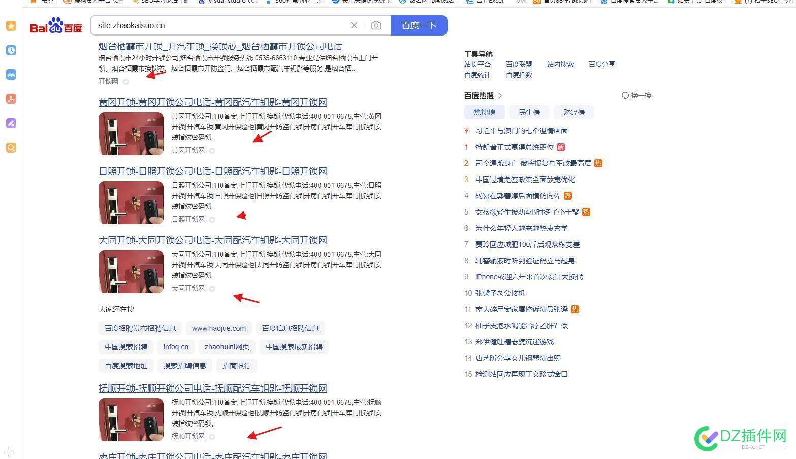 大佬们这个百度收录显示域名那栏中文的怎么弄 