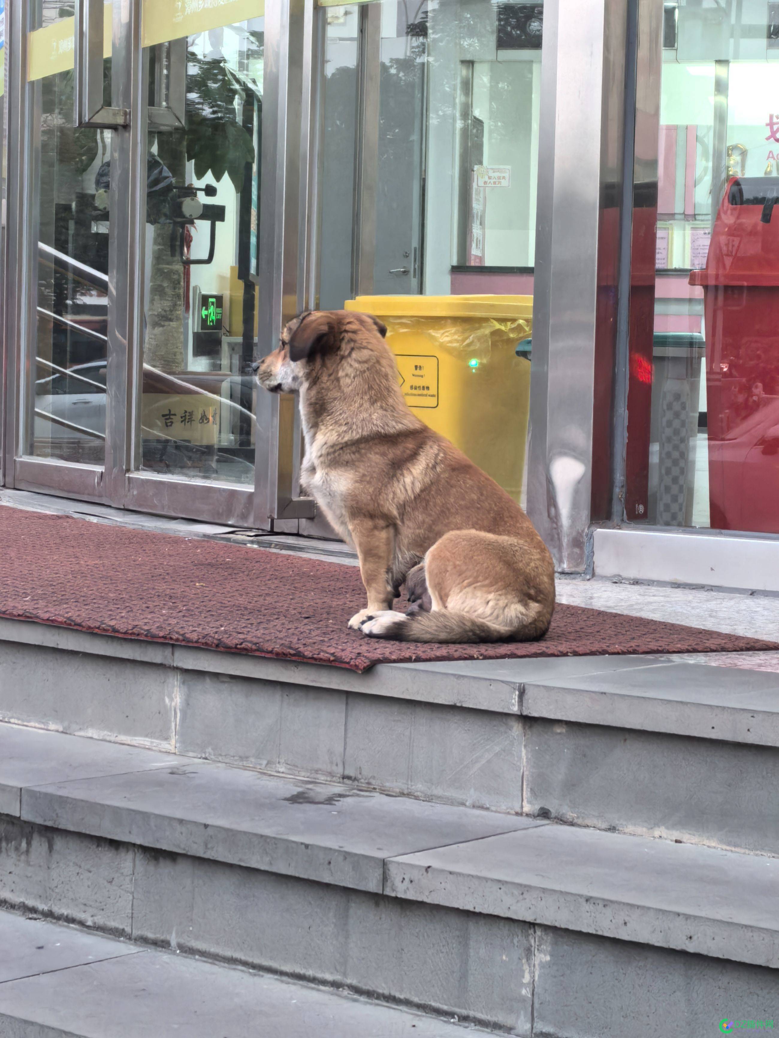 今年还是没挣到钱 