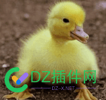 做什么项目可以月入两万 