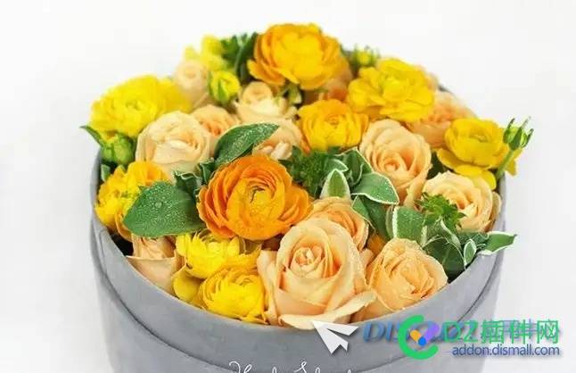 买鲜花的话在什么网站比较好？
New
 买鲜花的平台,买鲜花在哪买