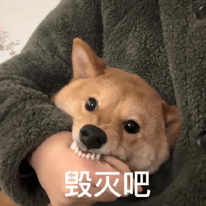 麻了，写写文章更新就叫SEO吗？