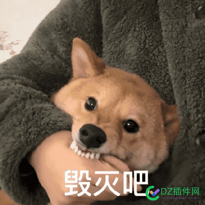 麻了，写写文章更新就叫SEO吗？ 