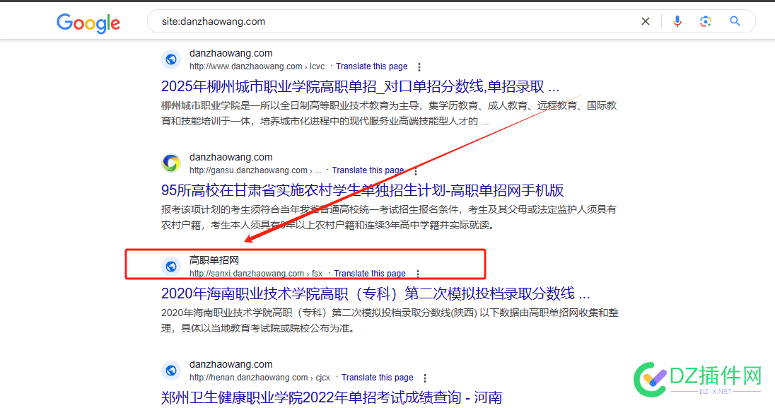 为什么google这里site出来有些是中文有些是域名 