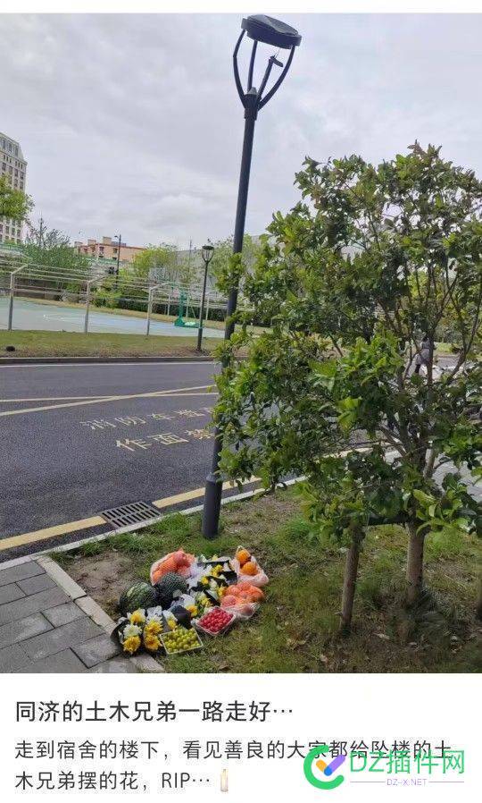 同济大学一土木研究生，选调生通过后被延迟毕业，跳楼了 同济大学 选调