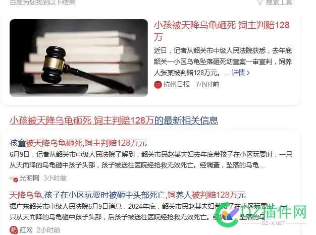 孩童被天降乌龟砸死,饲主判赔128万元 乌龟,孩童,128万元,这么,判赔