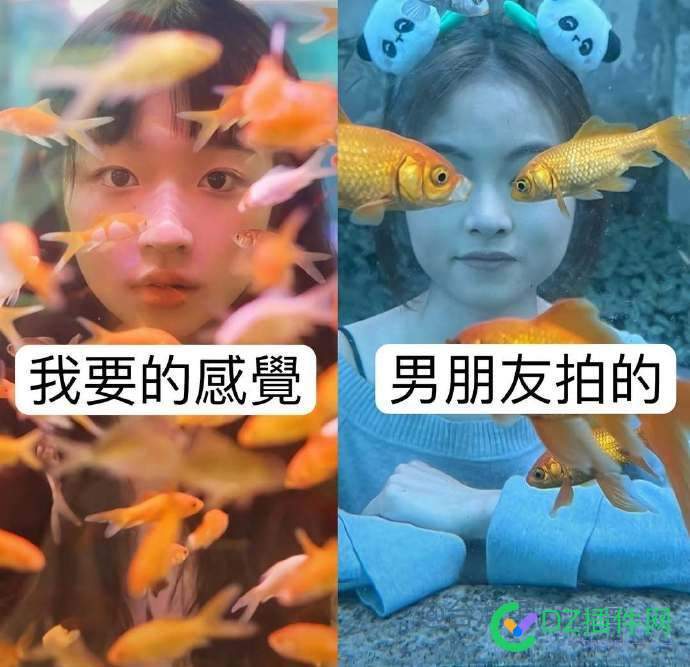 当你的男友是摄影“鬼才” 你的,男友,摄影,鬼才,87579