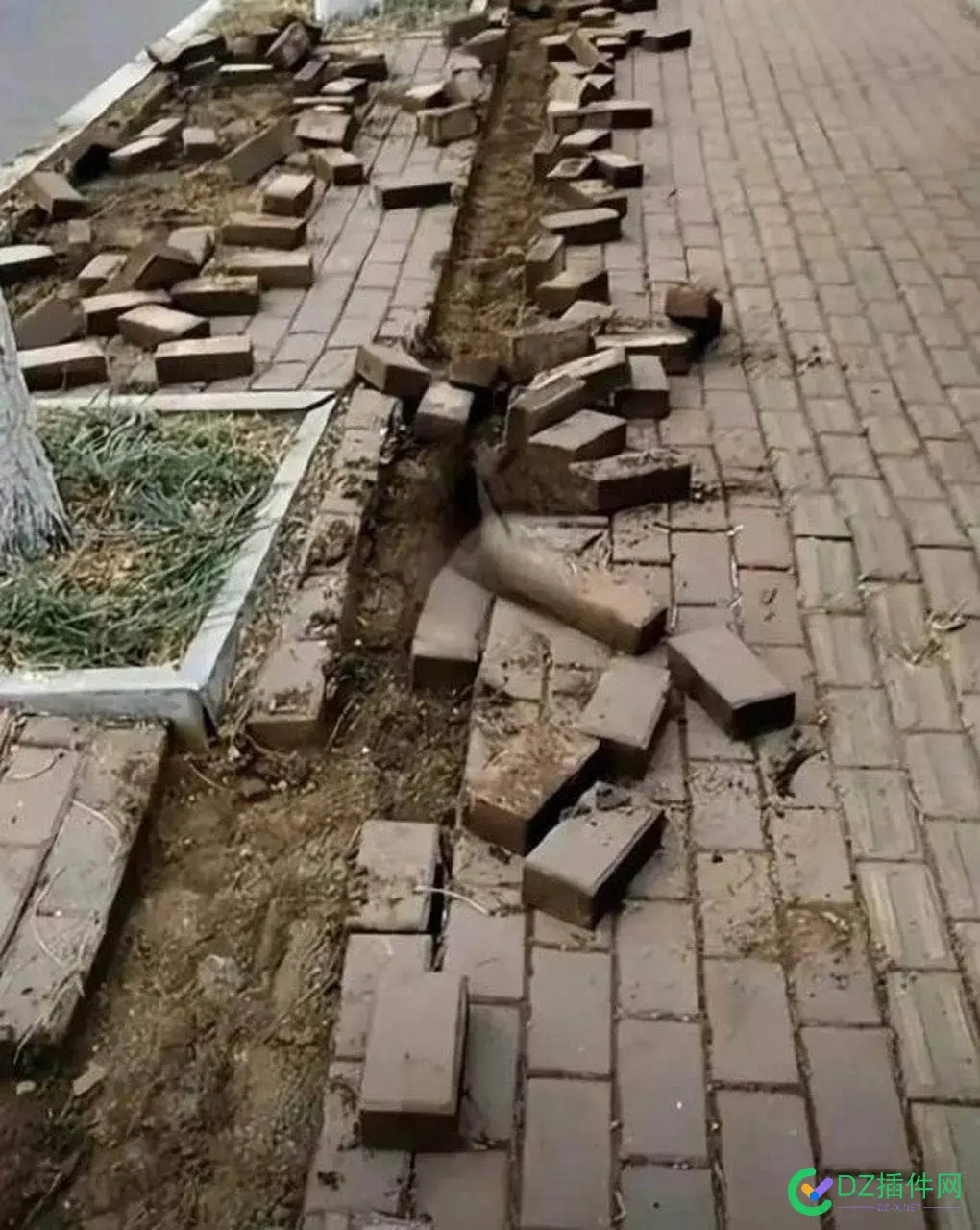 站长转型搬砖，也太难了城管不让搬了 站长转行,站长挣钱吗,站长做什么的