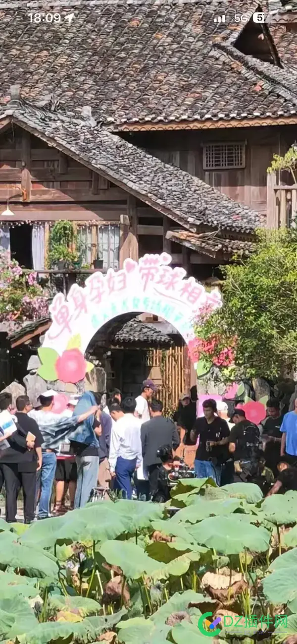 站长介意和单身孕妇相亲吗？毕竟有的站长网站也是买的（有身孕） 站长,网站,身孕,买的,也是