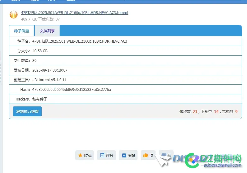 请教下这个是什么插件？还是说怎么设置的？上传种子后地下会显示相关信息的。 请教,回答,信息,相关,地下
