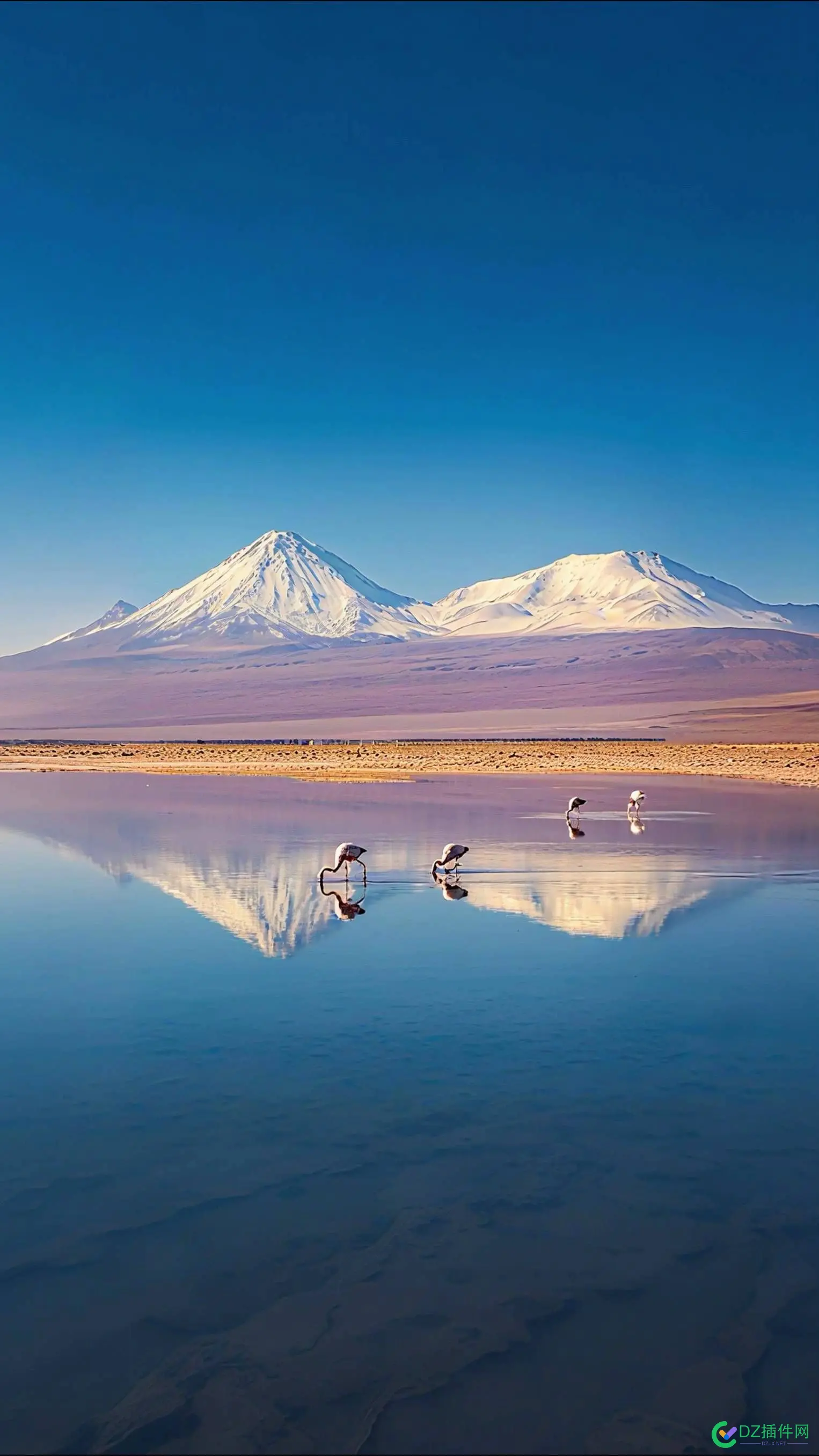 搬运壁纸有没有钱途？ 壁纸搬运工,壁纸搬砖
