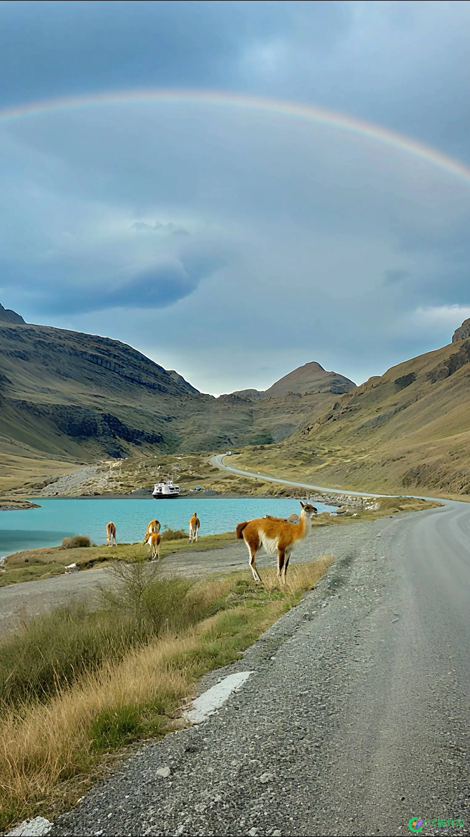 搬运壁纸有没有钱途？ 壁纸搬运工,壁纸搬砖