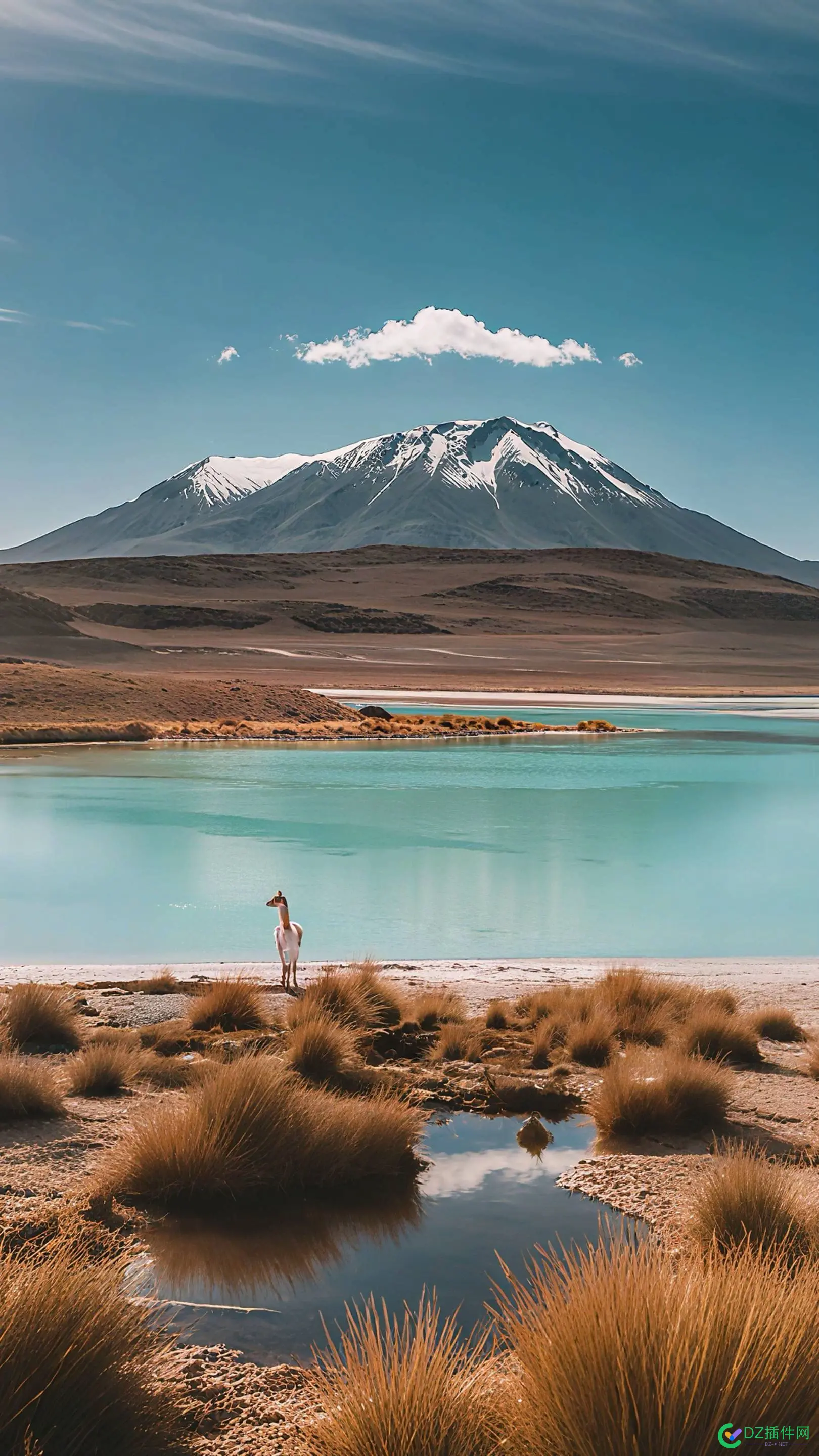 搬运壁纸有没有钱途？ 壁纸搬运工,壁纸搬砖