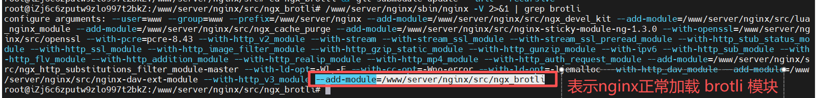 宝塔面板里面重新编译Nginx软件加上google的LZ77 算法Brotli无损压缩实现比Gzip压缩性能更快网页加速性能更好的网站加速模块