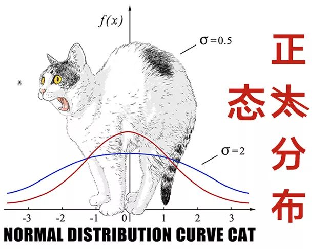 听说,果壳Tee已经沦为科学冷笑话大全了29 作者: 来源: 发布时间:2023-8-2 22:36