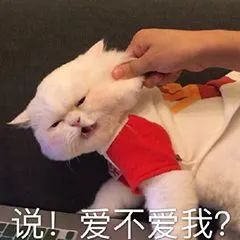 免费送!!!CSDN会员月卡!227 作者: 来源: 发布时间:2023-8-4 05:14