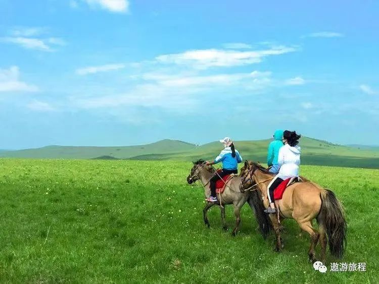 纯玩 一路向北北戴河+南戴河+山海关+承德避暑山庄+坝上草原+鸽子窝+仙螺岛+小布达拉宫+金莲川草原+大汗行宫深度纯玩双卧7日游3645 作者: 来源: 发布时间:2023-8-5 05:57