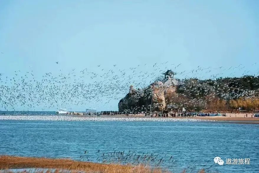 纯玩 一路向北北戴河+南戴河+山海关+承德避暑山庄+坝上草原+鸽子窝+仙螺岛+小布达拉宫+金莲川草原+大汗行宫深度纯玩双卧7日游8360 作者: 来源: 发布时间:2023-8-5 05:57