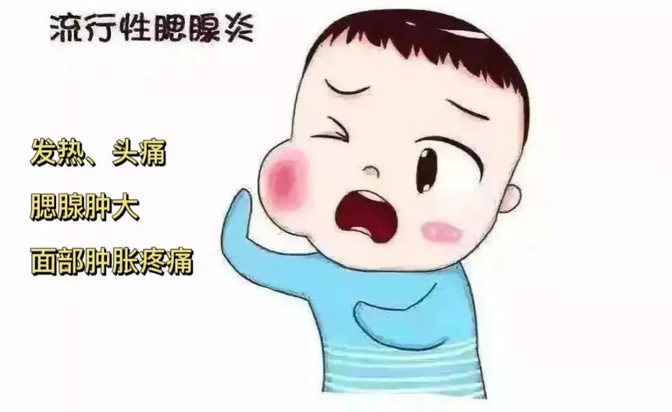 【立之育•健康课程】守护健康,立娃无忧——私立一中附属小学秋季预防传染病知识教育7709 作者: 来源: 发布时间:2023-8-5 16:51