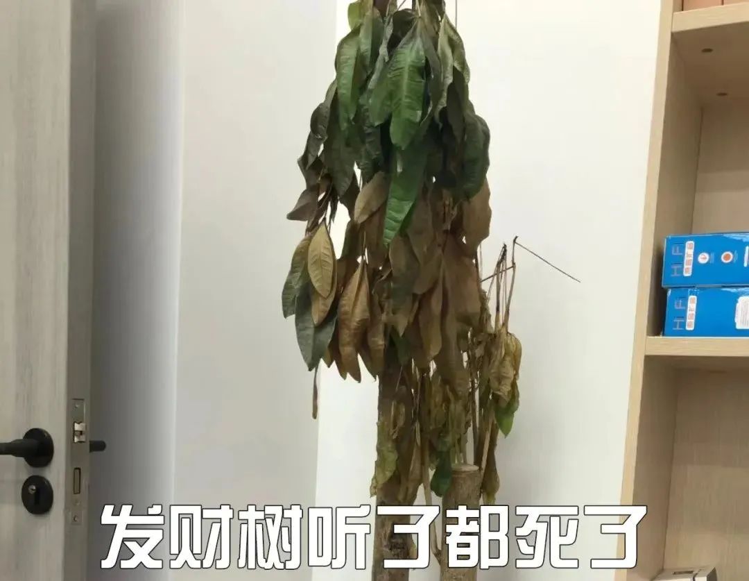 中国父母惨状曝光:前半生愁教育,后半生愁婚姻,余生在哄孙5267 作者: 来源: 发布时间:2023-8-8 15:11