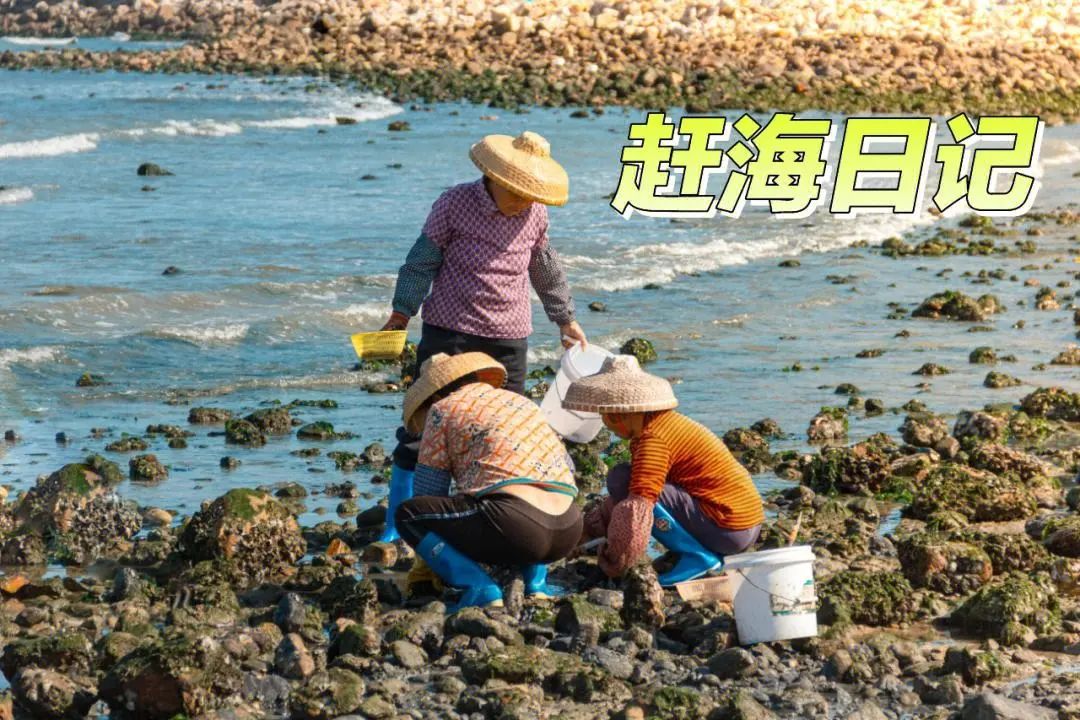 宛旅>>一路向北@北戴河,山海关,秦皇岛汽车纯玩5日,揭秘北戴河的浪漫与神秘!7307 作者: 来源: 发布时间:2024-8-15 07:34