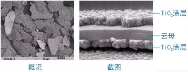 小众技术——涤粘织物的珠光粉防印烂花印花5435 作者: 来源: 发布时间:2024-8-17 14:44