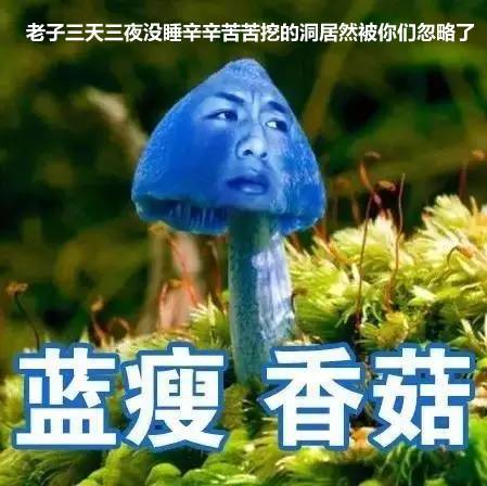 白帽子的辛酸谁能懂?5705 作者: 来源: 发布时间:2024-10-10 21:38