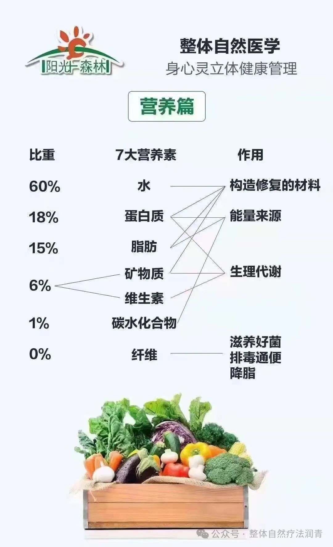 真正认知营养,为自己负责,到底学习营养学的关键是什么?7251 作者: 来源: 发布时间:2024-11-16 01:01