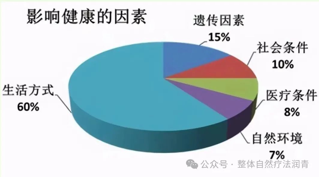 真正认知营养,为自己负责,到底学习营养学的关键是什么?2378 作者: 来源: 发布时间:2024-11-16 01:01