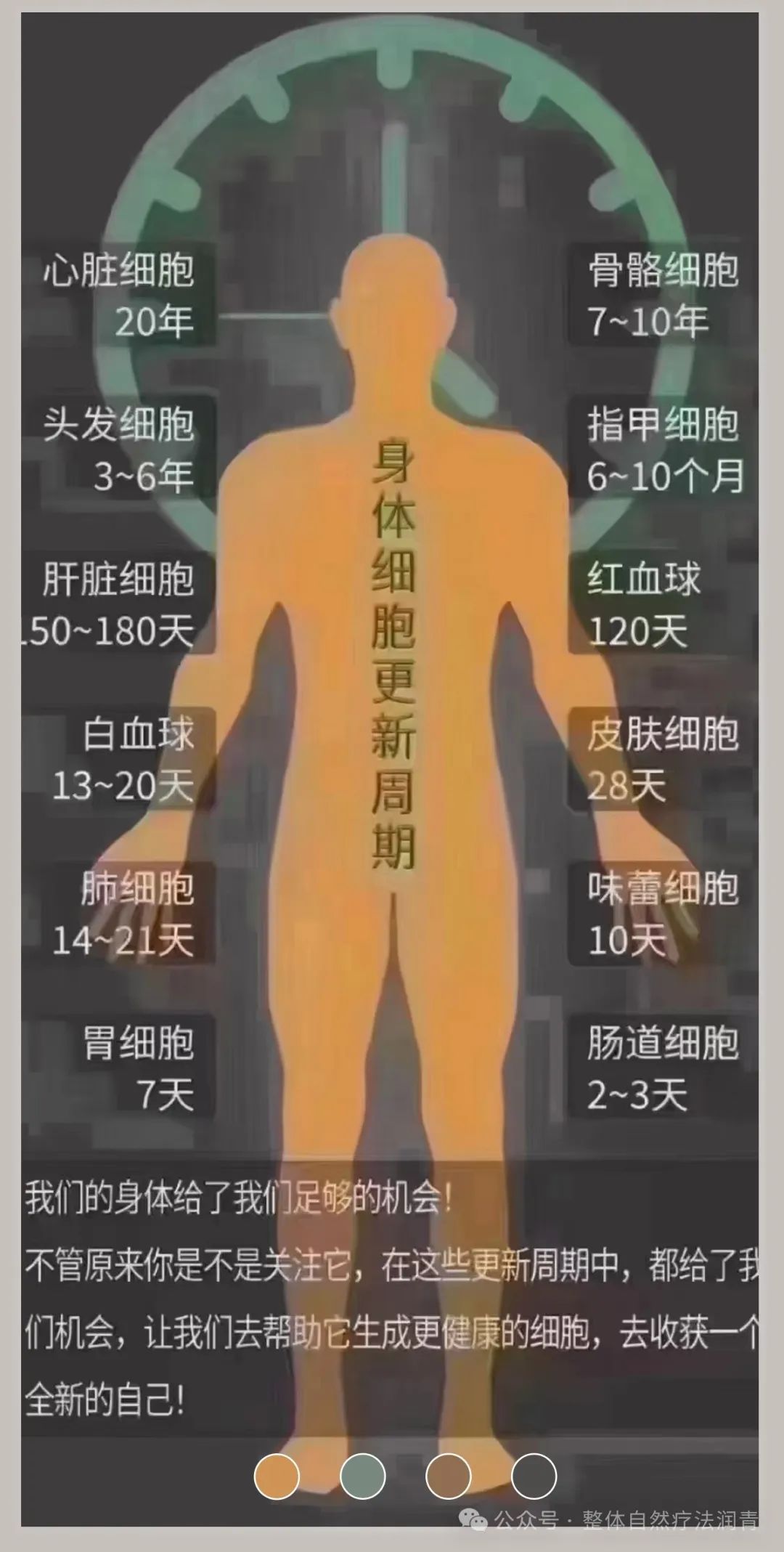 真正认知营养,为自己负责,到底学习营养学的关键是什么?573 作者: 来源: 发布时间:2024-11-16 01:01