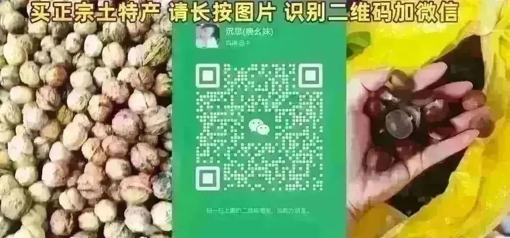 《便民通江》大量招聘,月薪六千加;另有各类土特产售卖7394 作者: 来源: 发布时间:2024-12-19 23:52