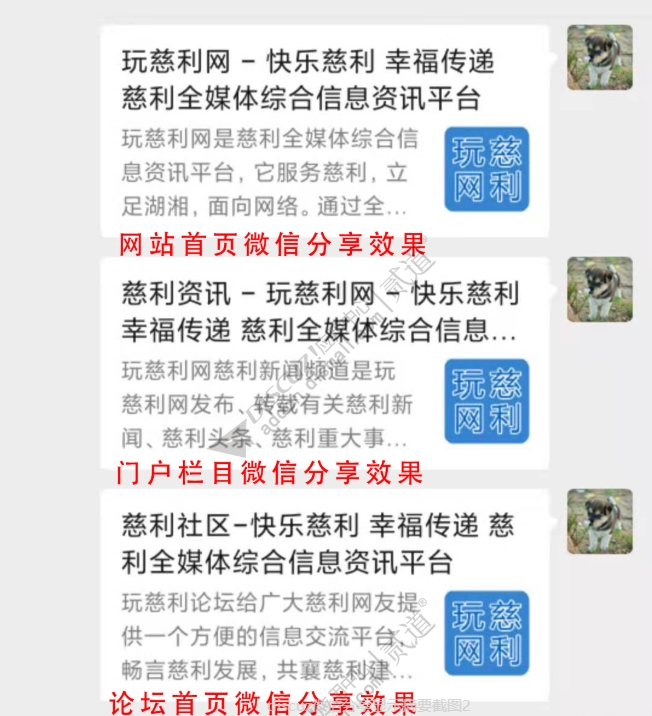 微信分享显示摘要.jpg